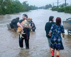 2022 SEQ floods photograph 14 of 14: documentation image